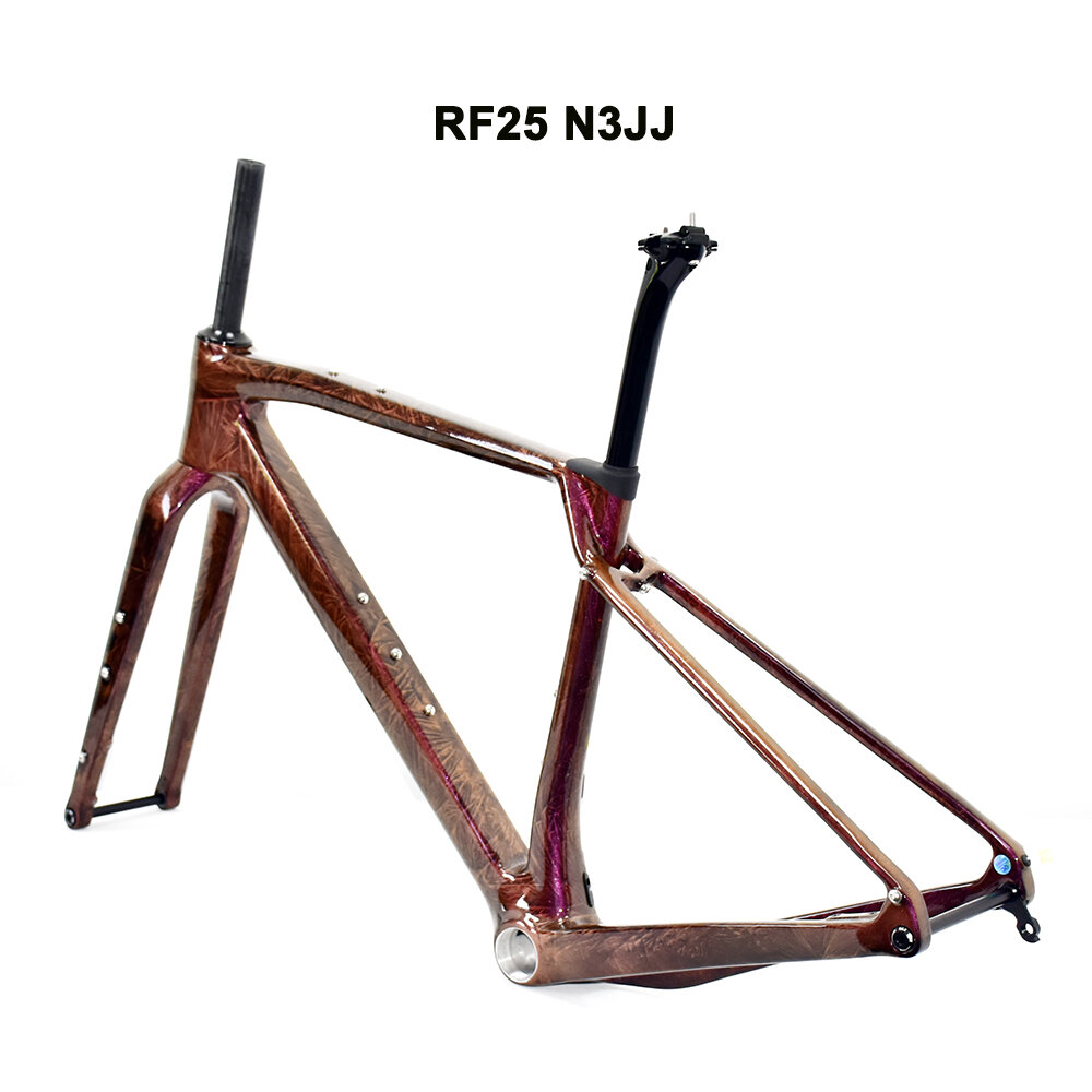 Xe đạp địa hình khung carbon 2 - đánh giá và giá Carbon Fork Gravel Disc Brake