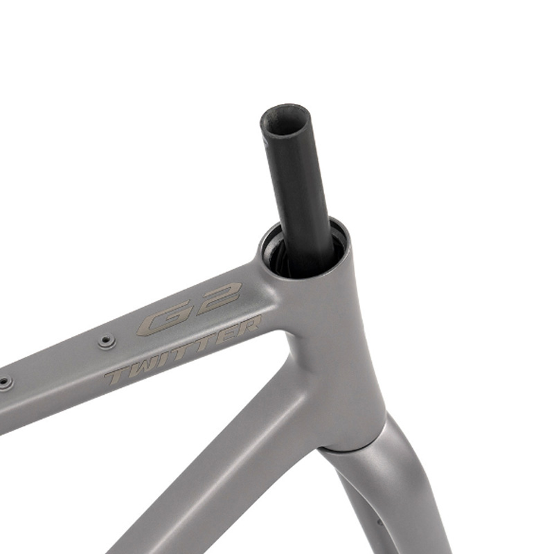 Alumium Alloy Gravel Bike Fram - đánh giá và giá Carbon Fork Gravel Disc Brake