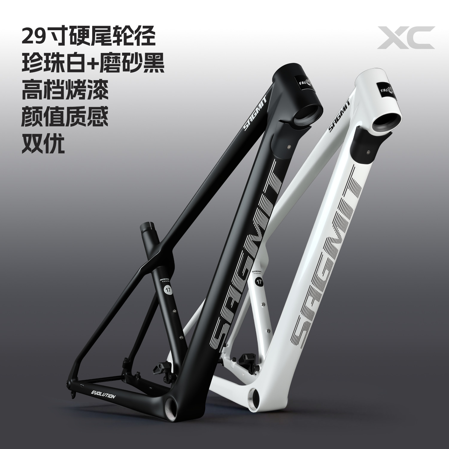 Mtb XC Full Carbon Fiber T700  - đánh giá và giá Carbon Mountain Bike Frame 29Er Boost