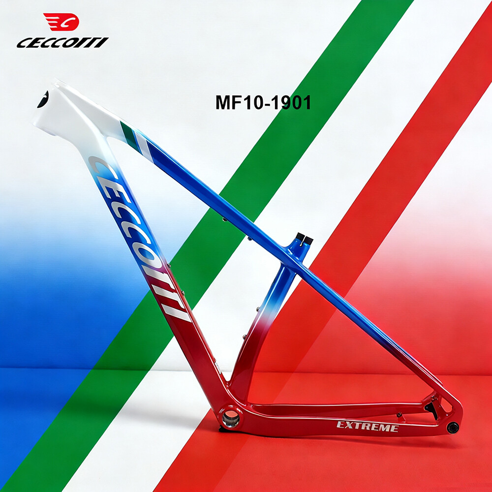2026 Customized Color For T100 - đánh giá và giá Carbon Mountain Bike Frame 29Er Boost