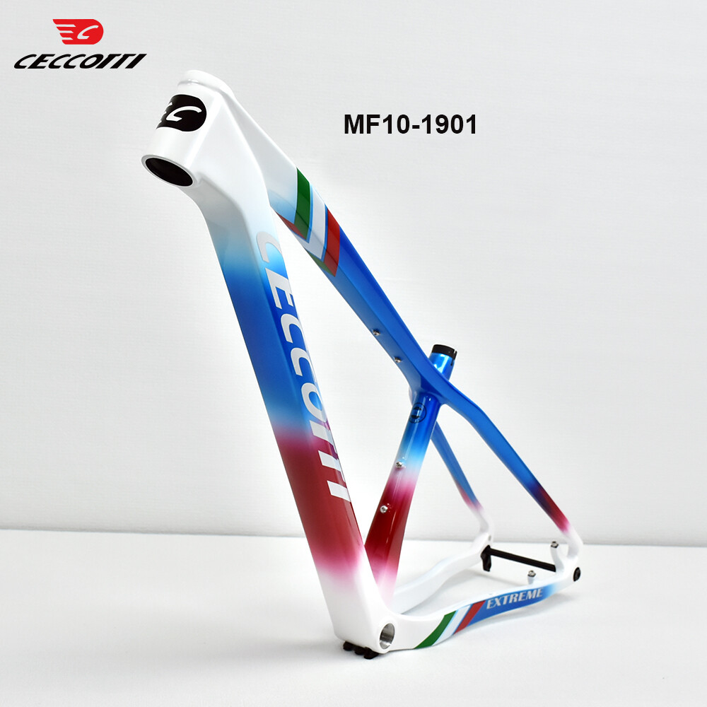 2026 Customized Color For T100 - đánh giá và giá Carbon Mountain Bike Frame 29Er Boost